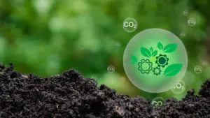 Gestion du carbone en agriculture